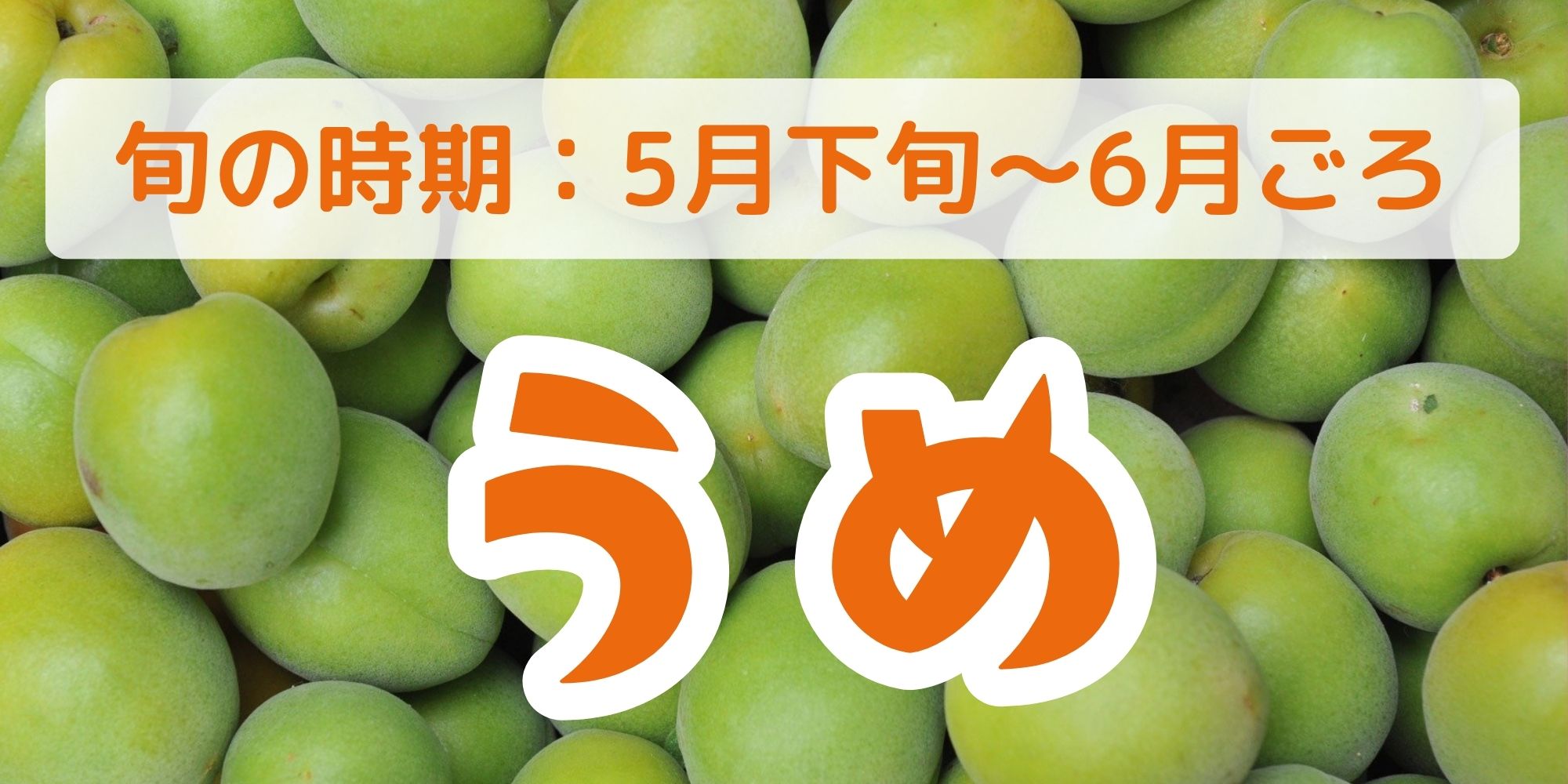 梅